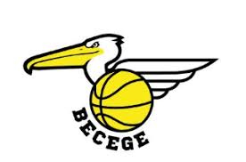 Becege